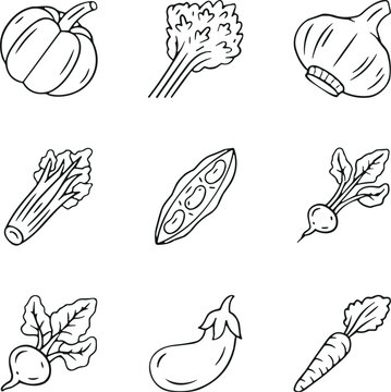 Collection of hand drawn vegetable outline icons with fresh organic farm produce vector illustration set