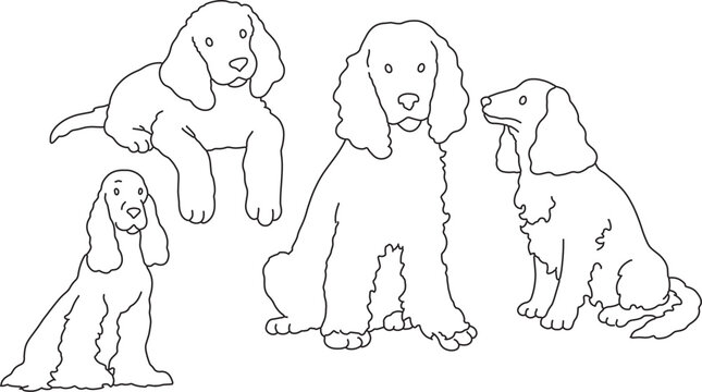 English Cocker Spaniel line art illustration floppy ear hunting dog doodle elegant companion breed contour drawing minimalist black outline clipart for grooming salon veterinary mascot logo design
