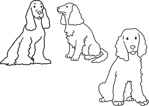 English Cocker Spaniel line art illustration floppy ear hunting dog doodle elegant companion breed contour drawing minimalist black outline clipart for grooming salon veterinary mascot logo design