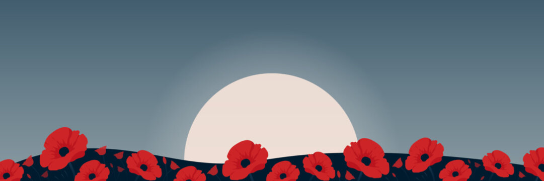 Red poppy field landscape at sunset wide banner vector illustration.