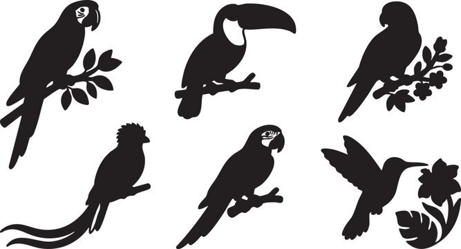 Silhouette collection of tropical birds including parrots, toucan, and hummingbird perched on branches and feeding from flowers