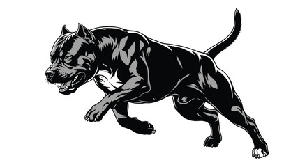 Fototapeta premium Intense black and white illustration of an aggressive pitbull dog running forward with powerful energy