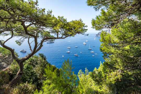 Belvedere di Tragara viewpoint in summer, Capri Island, Italy