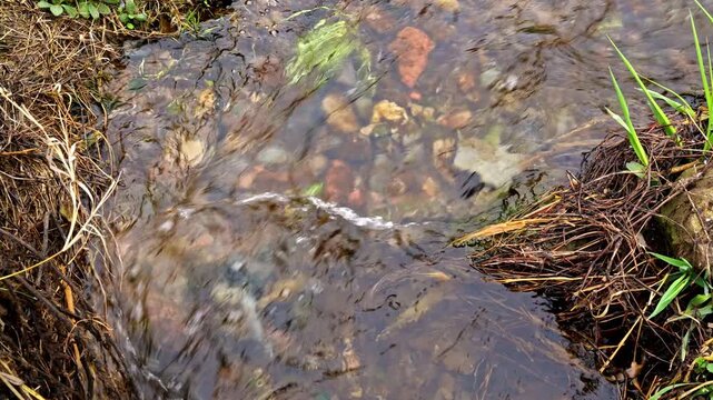 Top view of clear transparent water flowing in small natural stream, showing stones and streambed through shallow moving water.