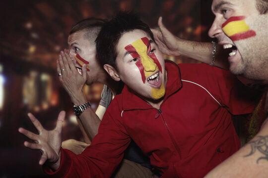 Soccer fans watching TV in pub