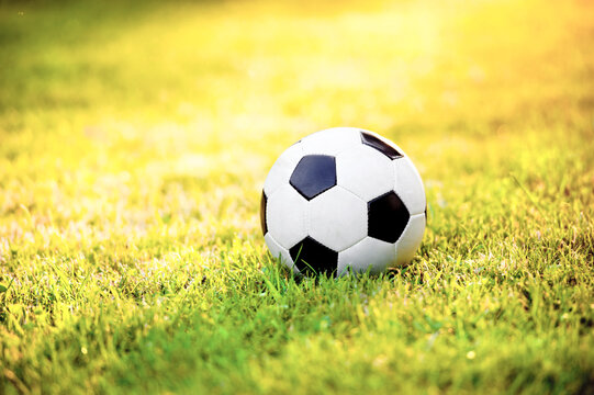 Soccer ball on a meadow