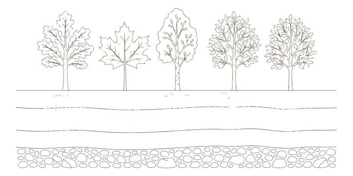 Minimalist tree line art vector set, 5 deciduous tree silhouettes with underground soil layers, architectural landscape section drawing