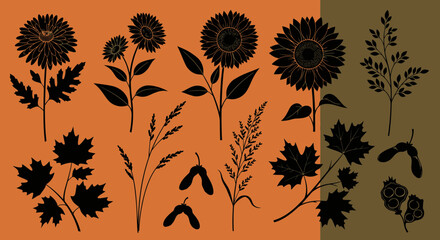 Obraz premium Collection of Autumn Botanical Silhouettes Featuring Sunflowers, Maple Leaves, and Field Grasses for Seasonal Design