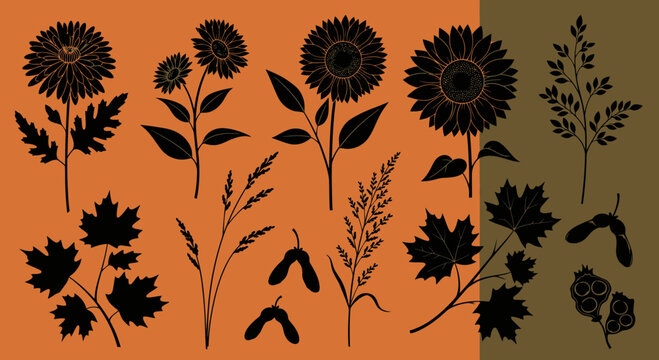 Collection of Autumn Botanical Silhouettes Featuring Sunflowers, Maple Leaves, and Field Grasses for Seasonal Design