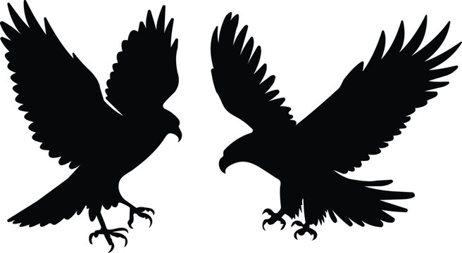 Flat birds of prey set eagle hawk silhouettes