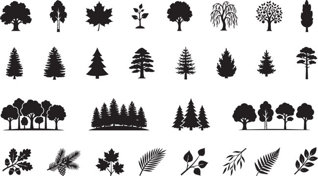Tree Silhouettes and Forest Elements Vector Set. Black Isolated Icons of Deciduous and Coniferous Trees, Leaves, Branches, Fern, and Pinecones on White Background