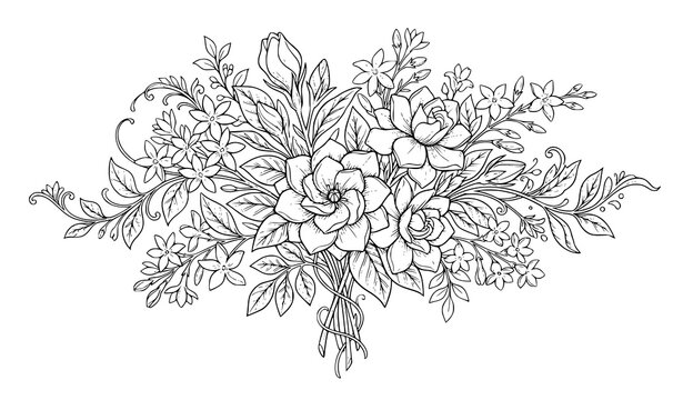 Elegant jasmine bouquet botanical vector illustration isolated on white background