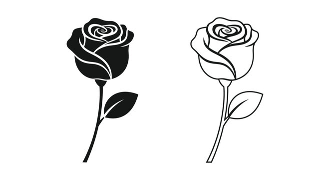 Single rose flower with leaf plant nature