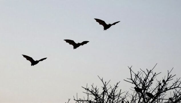 Three bats silhouetted against a pale sky fly over the branches of a bare tree