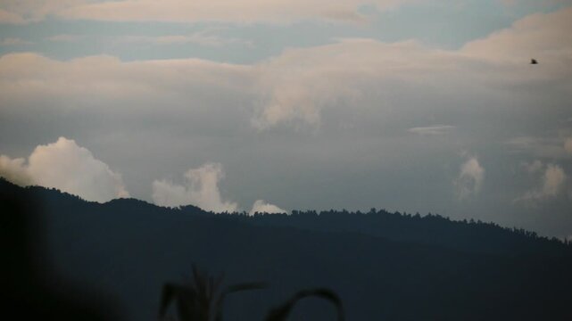 Birds Flying Over Dark Mountain and Forest Silhouette Against Moody Cloudy Sky at Dusk