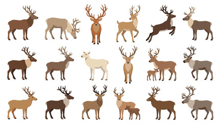 Fototapeta premium Diverse Herd of Reindeer Collection Various Poses and Colors Isolated on White Background