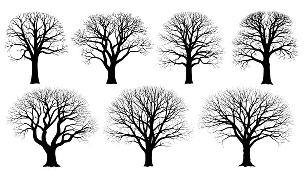Modern bare tree silhouette collection vector design