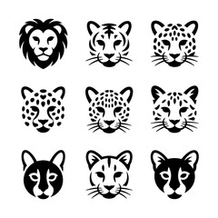 Vector illustration of various cat heads including lion tiger leopard cheetah domestic © SabithaRani