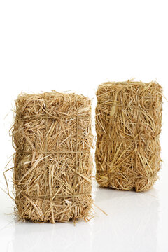 Bale of hay