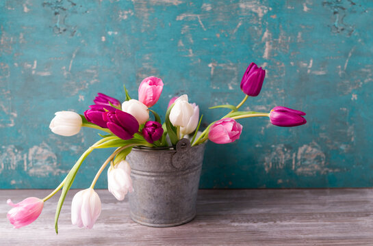 Tulips in a pail