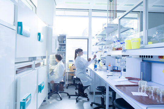 Two female natural scientists working at microbiology laboratory