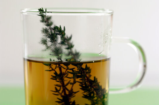 Glass of thyme tea, close-up