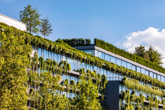 Germany, Baden-Wurttemberg, Stuttgart, Office building covered in green creeping plants