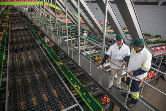 Workers talking in apple factory