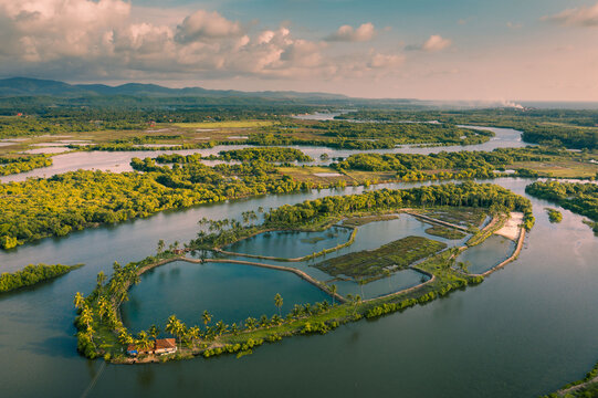 Aerial view of the lush tropical landscape with winding river channels, palm trees, and a small island under a cloudy sky during golden hour in Orlim, Goa, India.