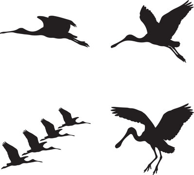 Roseate Spoonbill Silhouette SVG Bundle &ndash; 4 Elegant Pink Wading Bird Poses for Wetland Art & Florida Nature Prints