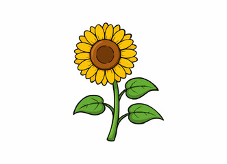 Fototapeta premium Vibrant Yellow Sunflower with Green Stem and Three Leaves Vector
