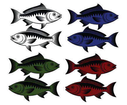 Set of stylized fish illustrations in various colors and styles