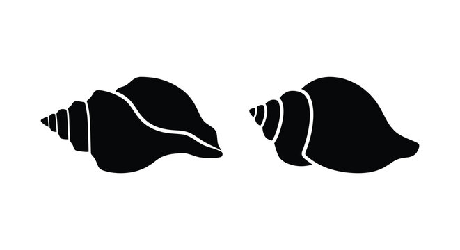 Two black sea shells in silhouette detailed marine gastropod mollusks on a white background silhouette
