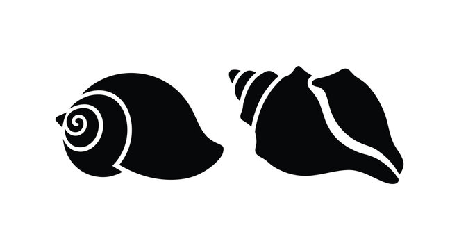 Three black seashell silhouettes with spiral shapes against a white background silhouette