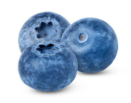 Blueberries isolated. Blueberry isolate on white background. Three perfect bluberries, clipping path.