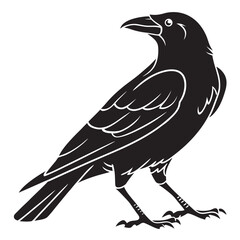Fototapeta premium Raven Bird Black Silhouette Vector Art