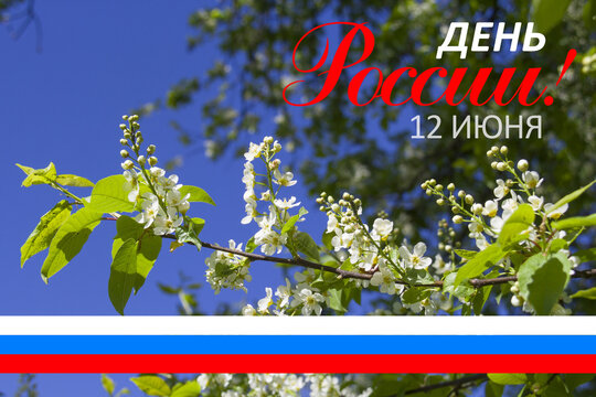 June 12 national holiday celebration banners with Russian flag colors, text in Russian