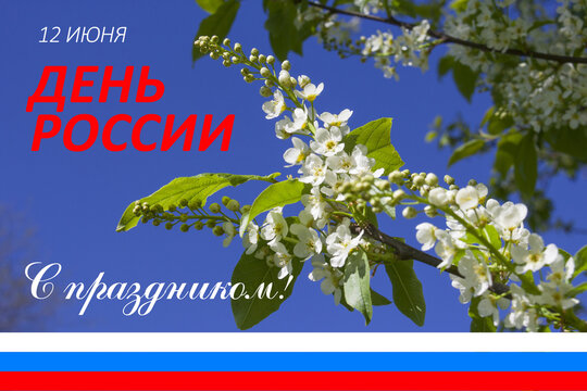 June 12 national holiday celebration banners with Russian flag colors, text in Russian