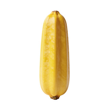Close up of a bright yellow zapallo de tronco squash against white backdrop