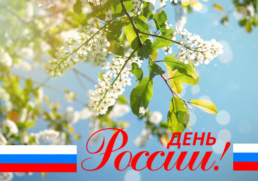 June 12 national holiday celebration banners with Russian flag colors, text in Russian
