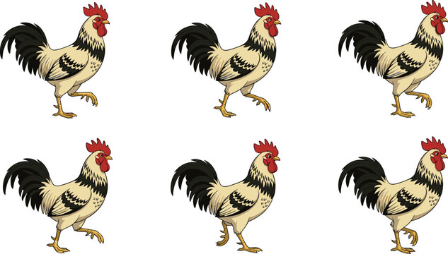 Realistic Rooster Character Walk Cycle Sprite Sheet Vector Illustration Set For 2D Farm Animations