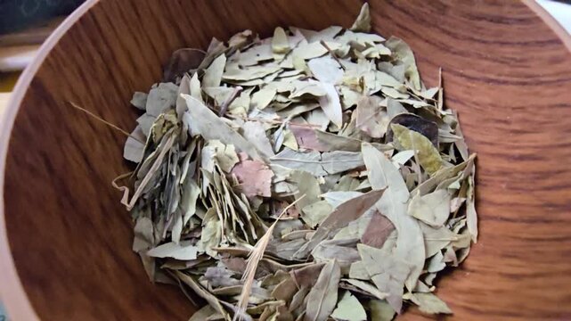 "High-quality macro video of dried Senna alexandrina leaves. Focusing on the raw, organic texture and vibrant green tones of botanical leaves. Ideal for natural wellness, spa, and culinary