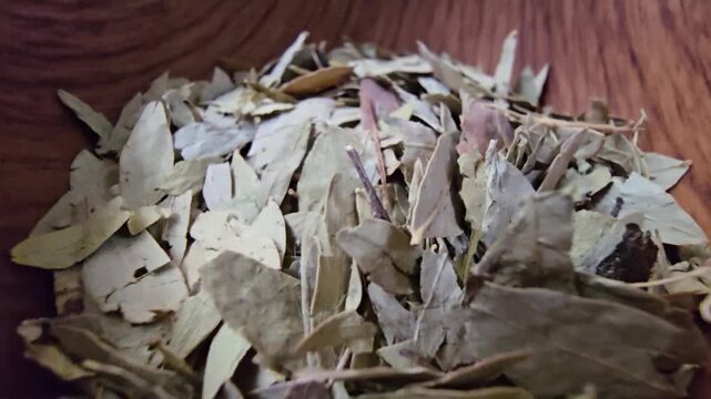 "High-quality macro video of dried Senna alexandrina leaves. Focusing on the raw, organic texture and vibrant green tones of botanical leaves. Ideal for natural wellness, spa, and culinary
