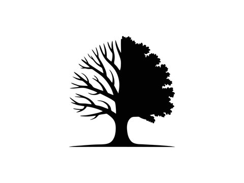 Tree Life Cycle Symbol