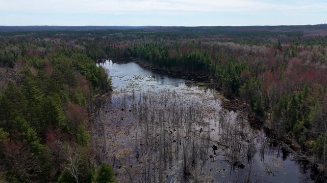 Drone flying from Wakeley Lake toward adjacent pond in Grayling Township Michigan.