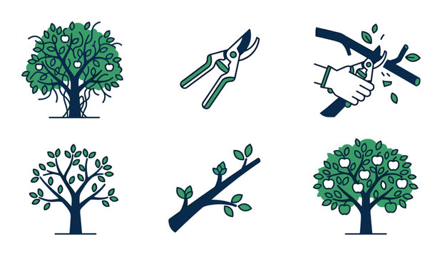 Garden tree care tools and maintenance icons set vector