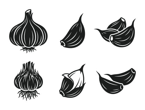 Garlic bulb cloves vector black silhouette food ingredients