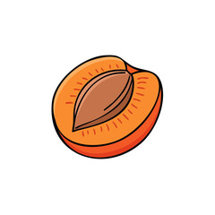 Obraz premium Orange apricot half with seed shown inside fruit illustration