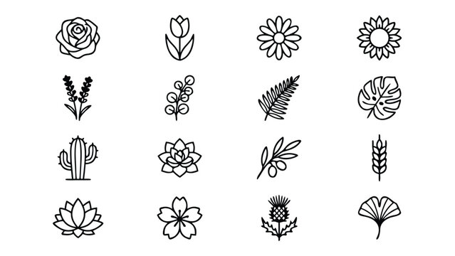 Minimalist Vector Line Icons Set of 16 Botanical Plans and Flowers Featuring Roe, Tulip, Daisy, Sunflower Lavender, Monstera Leaf, actus, Succulent, Olive Brnch, Wheat, Lotus, and Gingo Leaf.
