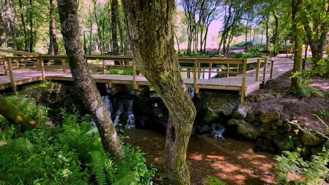 A wooden pedestrian walkway spans a tranquil pond feeding into a small waterfall. Sunny daylight filters through lush green trees in a peaceful park in Santa Maria da Feira.